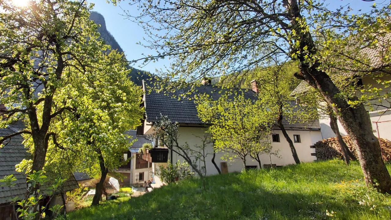 Apartmaji Pekovec Бохин Екстериор снимка
